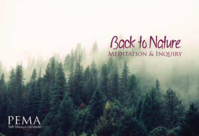 Back to Nature - October 2022
