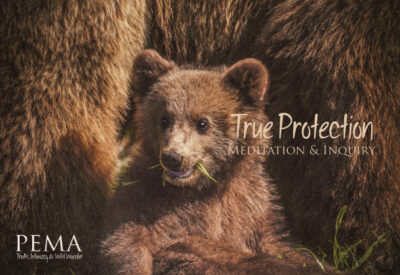 True Protection - November 2022