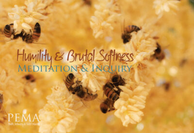 Humility and Brutal Softness - November 2022